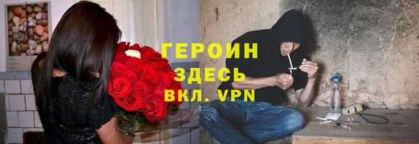 сатива Белокуриха